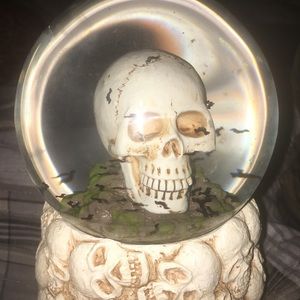💀 Skull ☠️ Snow-globe 🦇